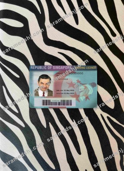 Singapore driving license photolook FRONT